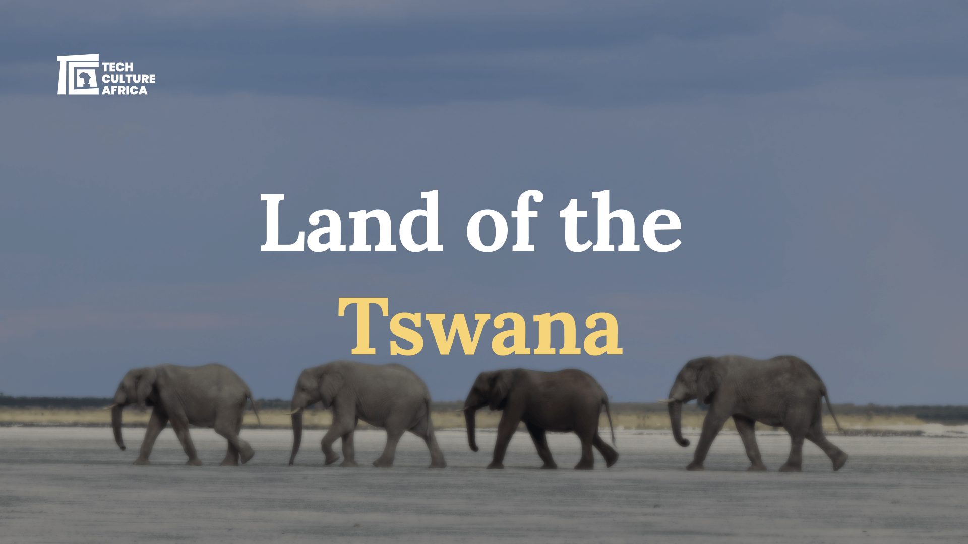 Land of the Tswana – Botswana’s Majestic Wildlife