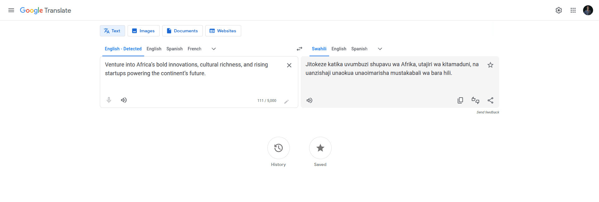 Google Translate Web Interface