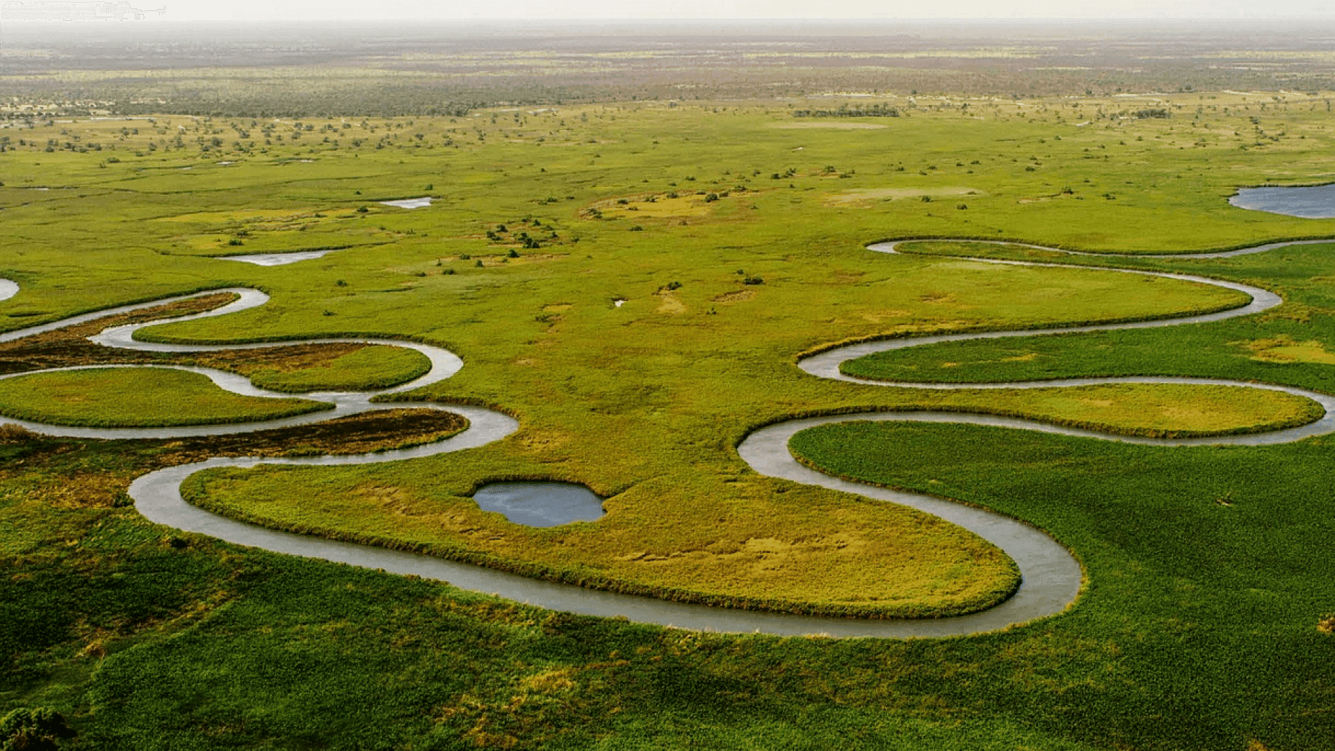 okavango