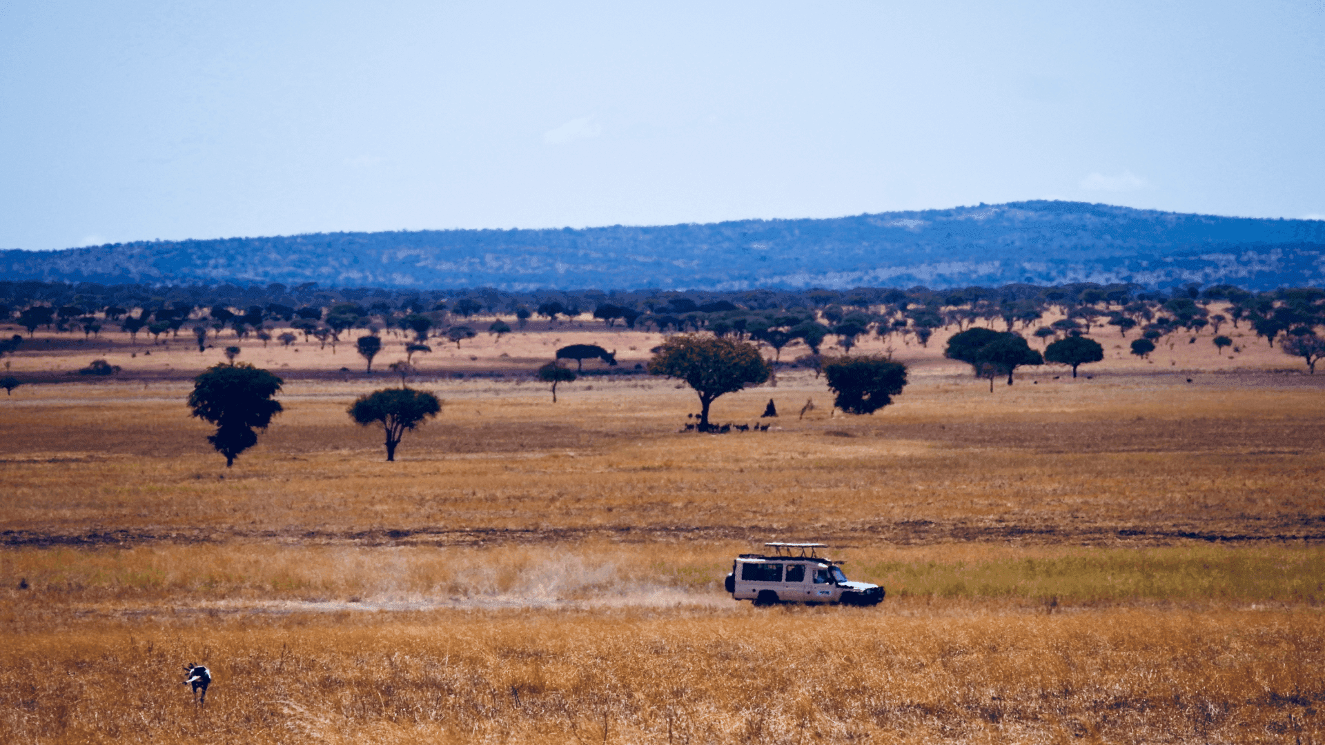 Safari car in Serengeti National Park, Tanzania